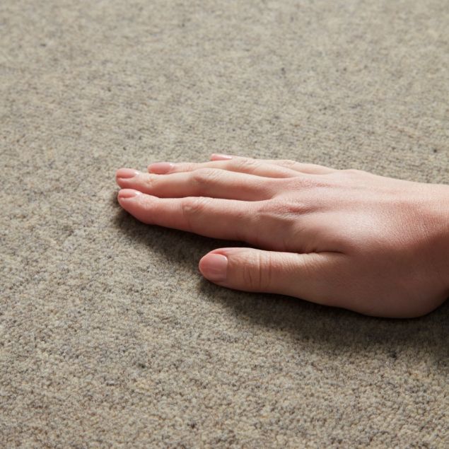 John Lewis Bond Velvet